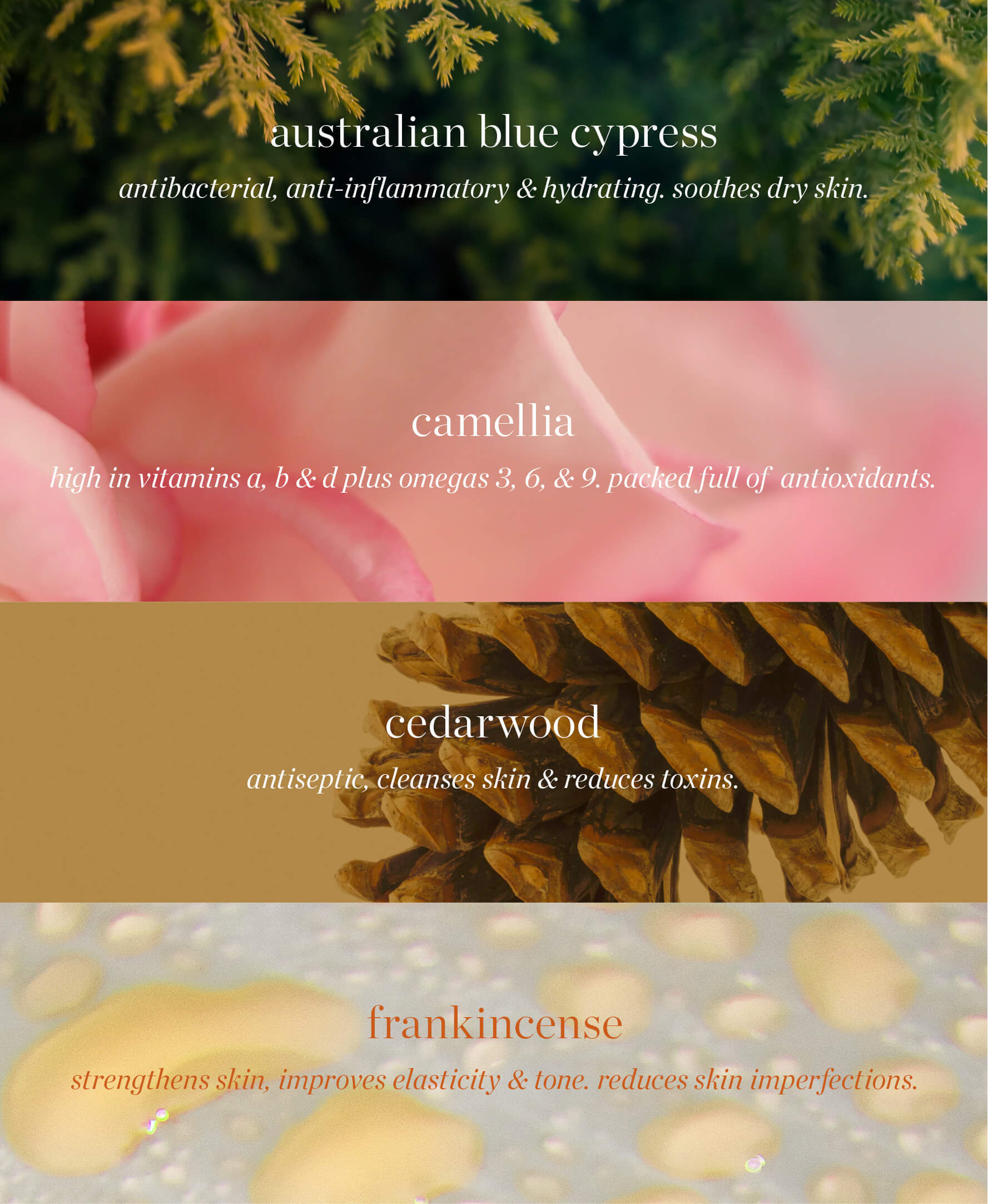 australian blue cypress face nectar Ere Perez  | 